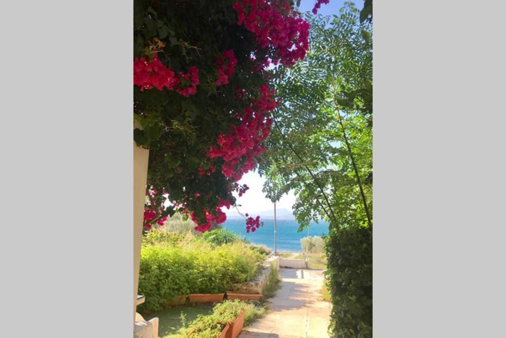 Sea View * Лоутраки